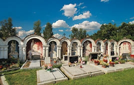 Fotografoval: Libor Svacek, Kaplicka 447, Cesky Krumlov, 381 01 CZ